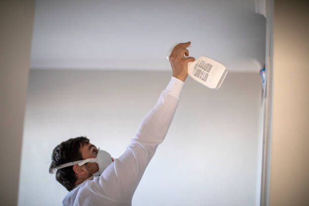 Mold Removal and Inspection in Shelburn, IN